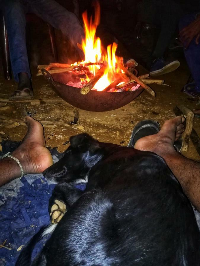 Eco Lodge Haputale-Camping Sri Lanka 외부 사진