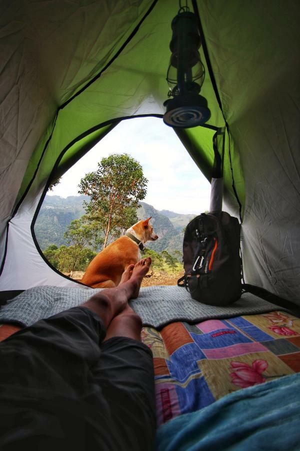 Eco Lodge Haputale-Camping Sri Lanka 외부 사진